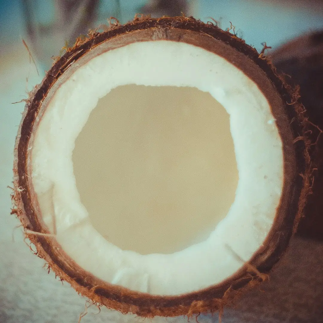 OJORAS Traditional Wooden Kolhu Coconut Oil – 1 Litre
